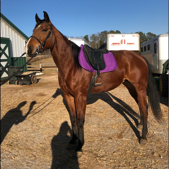 πNew Posh Ambassador as of 10/07/19π - Picture 7 of 8